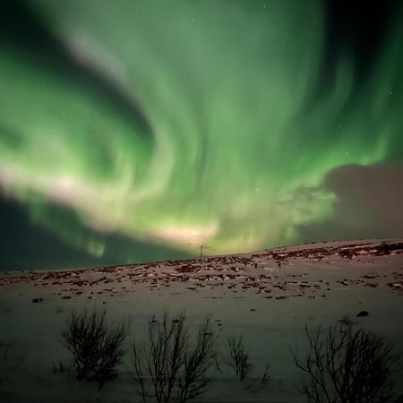 Leilighet I Vadsø Zewnętrze zdjęcie